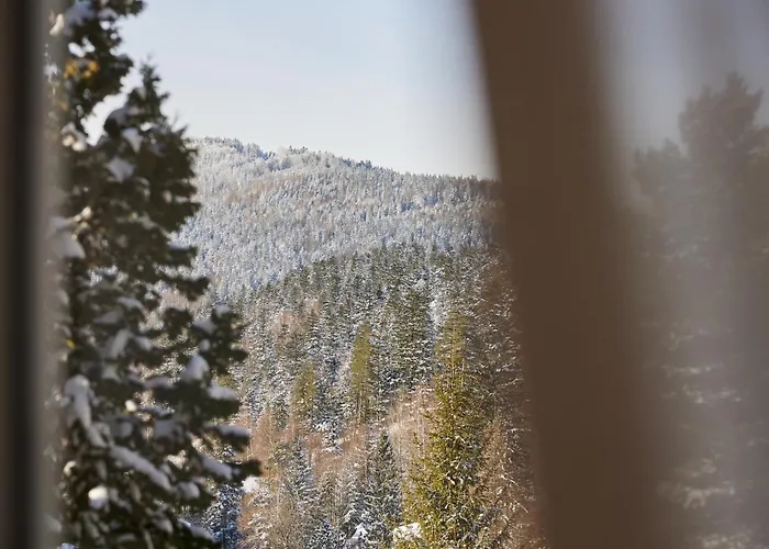 Widokowy Dom W Dolinie